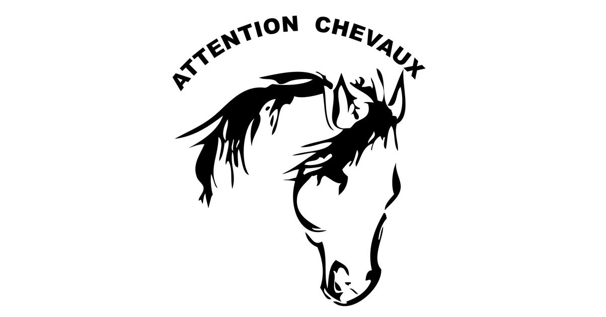 Autocollant cheval pour van online